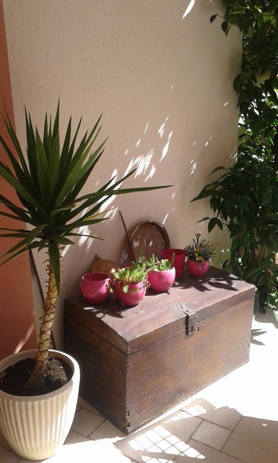Apartment Elda Petrčane Extérieur photo